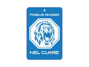 Exemple de diffuseur de voiture personnalisé numéro :1292